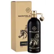 Montale Paris Arabians Tonka EDP 100ml - Image 2