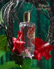 Ibisco Nirvana EDP by Paris Corner (Hibiscus Mahajád clone) - Image 3