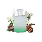 Taskeen Lactea Divina By Paris Corner
