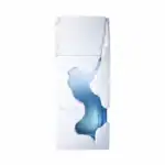 Ravine Ice by French Avenue 100ml perfume bottle with icy design.